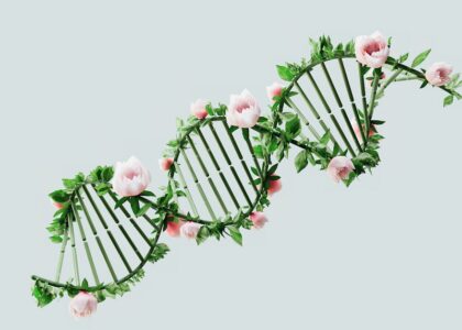 A creative representation of a DNA helix using flowers and leaves, symbolizing nature and biotechnology.