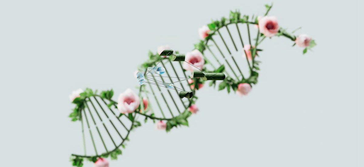 A conceptual representation of a DNA helix adorned with pink flowers and green leaves.