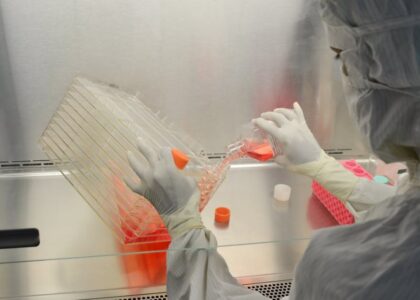 A scientist in full protective gear working in a laboratory on research with cell cultures.
