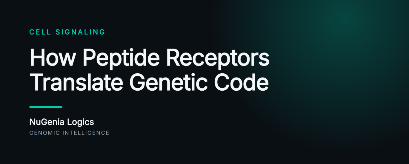 How Peptide Receptors Translate Genetic Code - NuGenia Logics