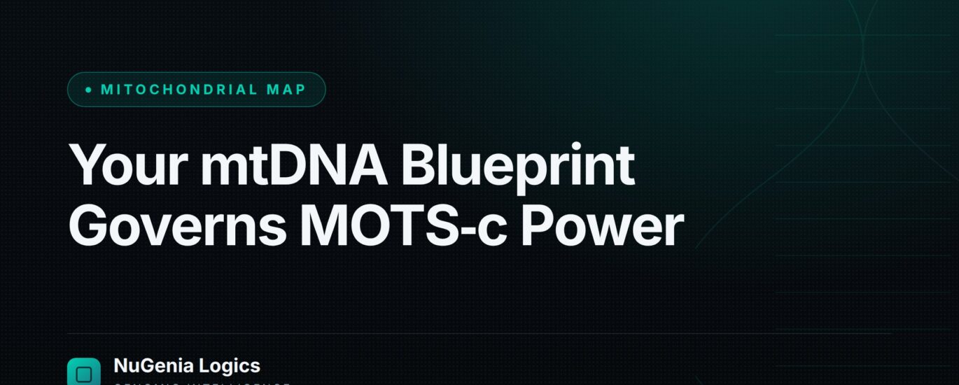Your mtDNA Blueprint Governs MOTS‑c Power - NuGenia Logics